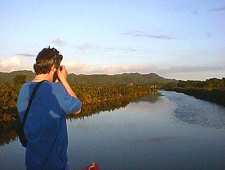 Up The River in Negril Jamaica