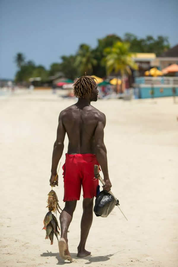 AJ's Islandwide Tours Jamaica