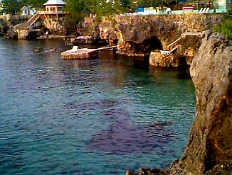 3 Dives' Jump in Negril, Jamaica