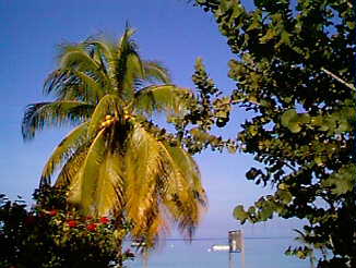 Another Day in Negril Jamaica