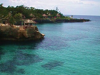 Pickled Parrot from Pirate's Cave in Negril, Jamaica