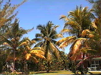 Why aren't you here?