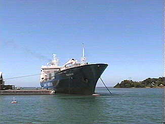 Banana Boat in Port Antonio Jamaica