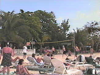 Bar-B-Barn at Spring Break