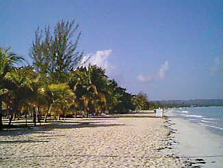 The Beach in Negril Jamaica