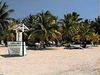 Charela at Spring Break