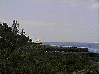 Morning on the cliffs in Negril Jamaica