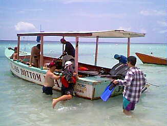 Dolphin Dive Preparations at Negril Gardens in Negril Jamaica