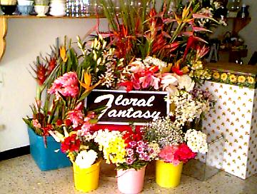 Floral Fantasy in Negril, Jamaica