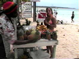 Fruit Stand