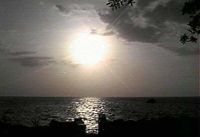 Live from Drumville Cove in Negril, Jamaica