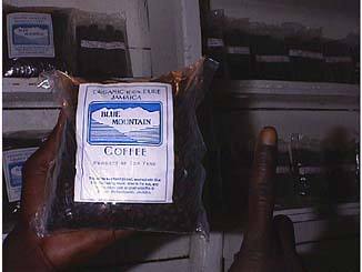 Blue Mountain Coffee at Serious Chicken on the West End in Negril Jamaica