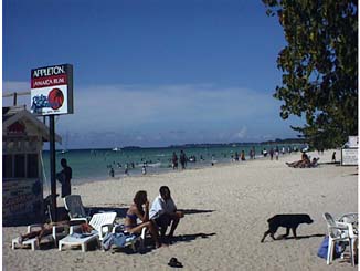 Heroes Day at Risky Business in Negril Jamaica