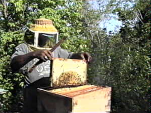Handmade Honey