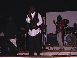 Junior Cat at Roots Bamboo in Negril Jamaica