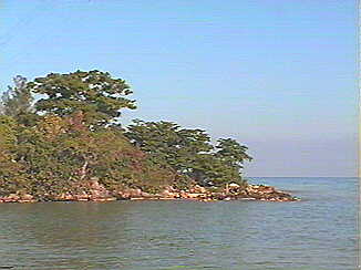 Where in Negril Jamaica