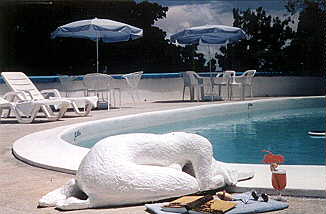 Hotel Mocking Bird Hill