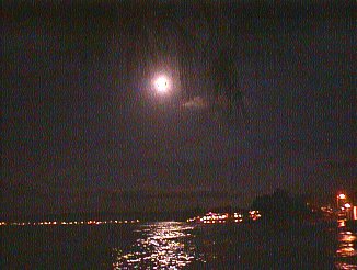 Full Moon over Negril Jamaica