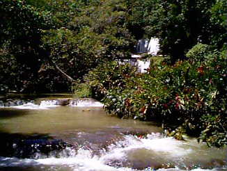 YS Falls near Negril Jamaica