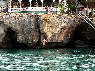 The Plunge at the Pickled Parrot in Negril, Jamaica