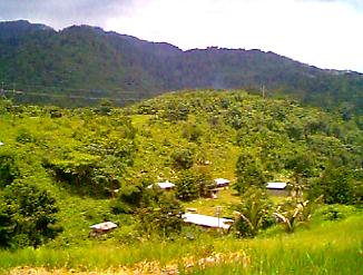The South Coast in Jamaica