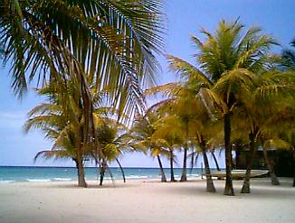 The Beach in Negril Jamaica