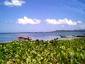 The Beauty in Negril, Jamaica