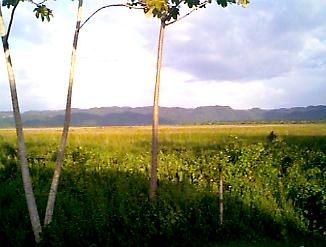 The Morass in Negril, Jamaica