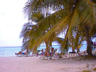 A day o the beach at Charela Inn in Negril Jamaica