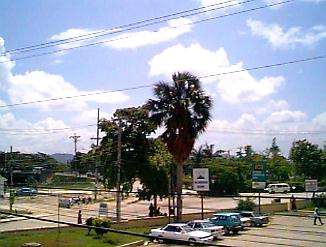 The Roundabout in Negril, Jamaica