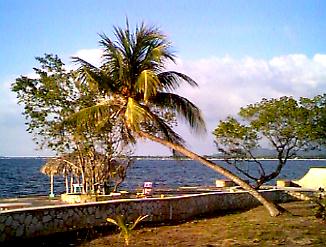 Guess Where in Negril, Jamaica