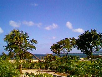 Another Day in Negril, Jamaica