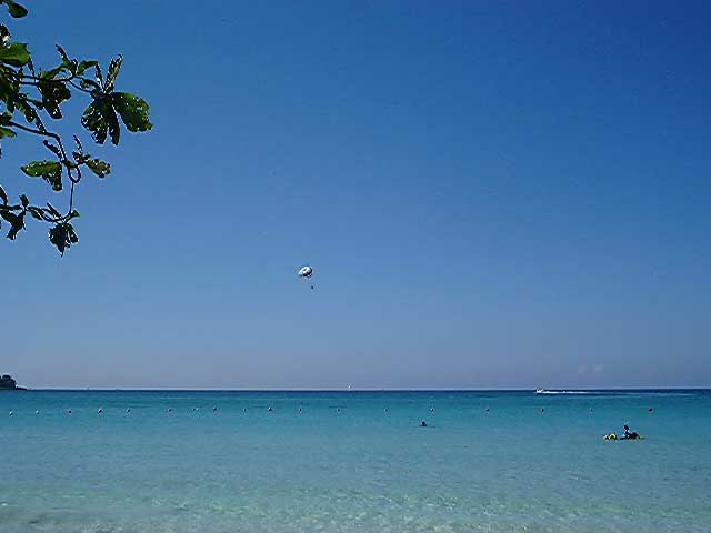 Caribbean Blue