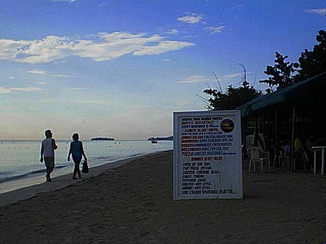 Beach View at Tree House