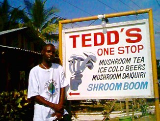 TEDD'S One Stop in Negril, Jamaica