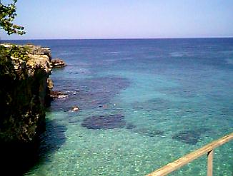 Cliff snorkeling on the cliffs in Negril, Jamaica