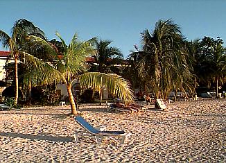 Beautiful Charela Afternoon in Negril, Jamaica