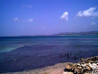 The Bay in Negril Jamaica
