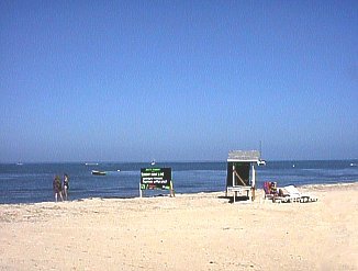 Boxing Day Beach at Roots Bamboo in Negril Jamaica