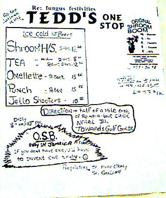 Tedd's One Stop in Negril, Jamaica