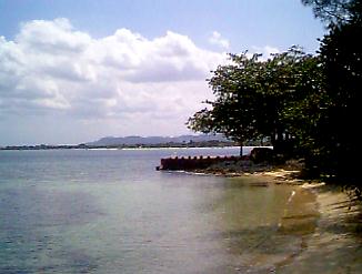 Guess Where in Negril, Jamaica