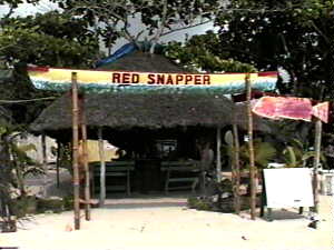 Red Snapper