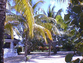 Garden at Rondel Village in Negril Jamaica