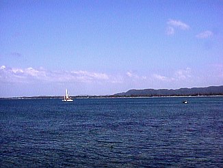 The Sea in Negril Jamaica