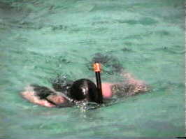 Snorkeling
