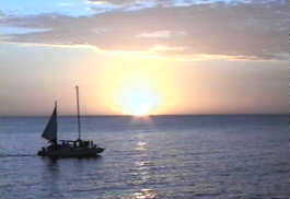 Sails in the Sunset