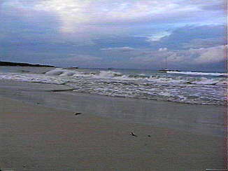Waves in the Caribbean