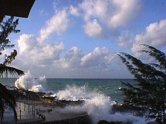 Waves on the Cliffs in Negril Jamaica