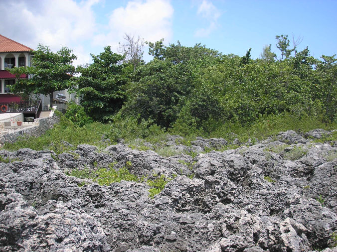 Negril West End Property for sale by owner