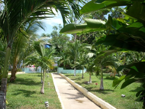 Eddie's Tigress 2 on Negril Jamaica's West End - Lawn View